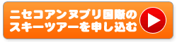 �j�Z�R�A���k�v�����ۃX�L�[��̃X�L�[�c�A�[��\������