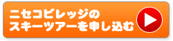 �j�Z�R�r���b�W�̃X�L�[�c�A�[��\������